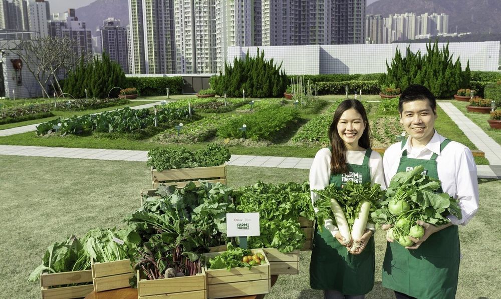 Farm Together: Sino Group’s City-wide Green Community Project Invites Hong Kongers to Get Involved in Sustainability