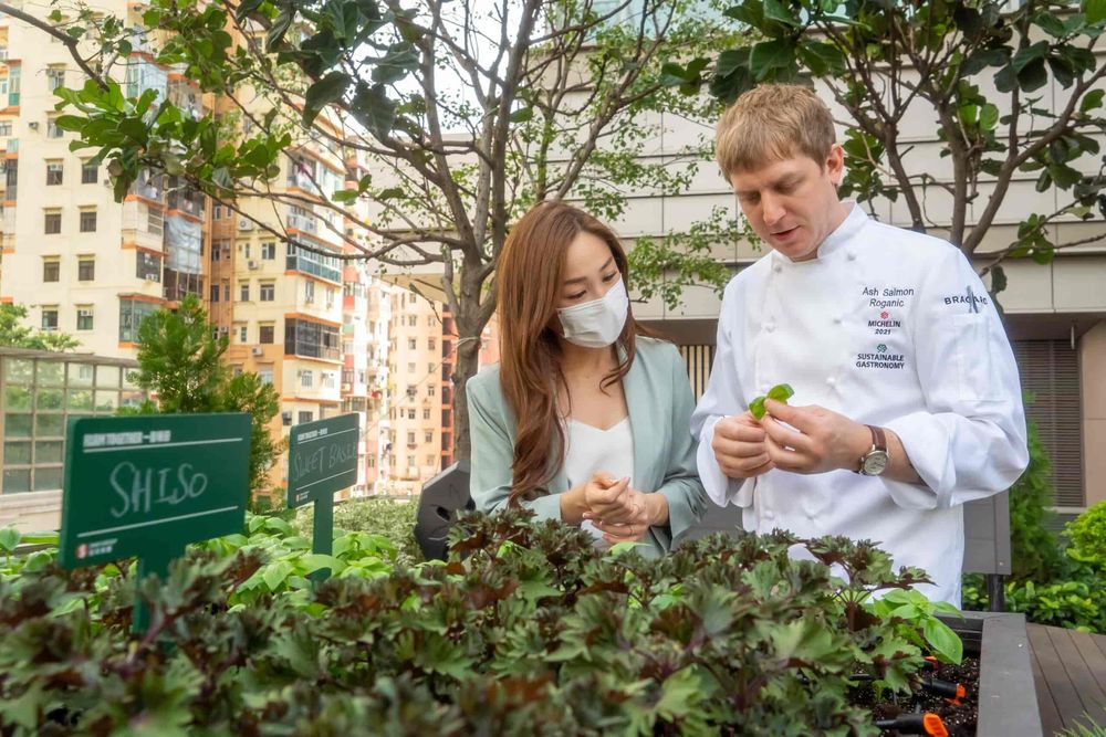 Sino Group brings ‘City Life Country Living’ concept to Grand Central