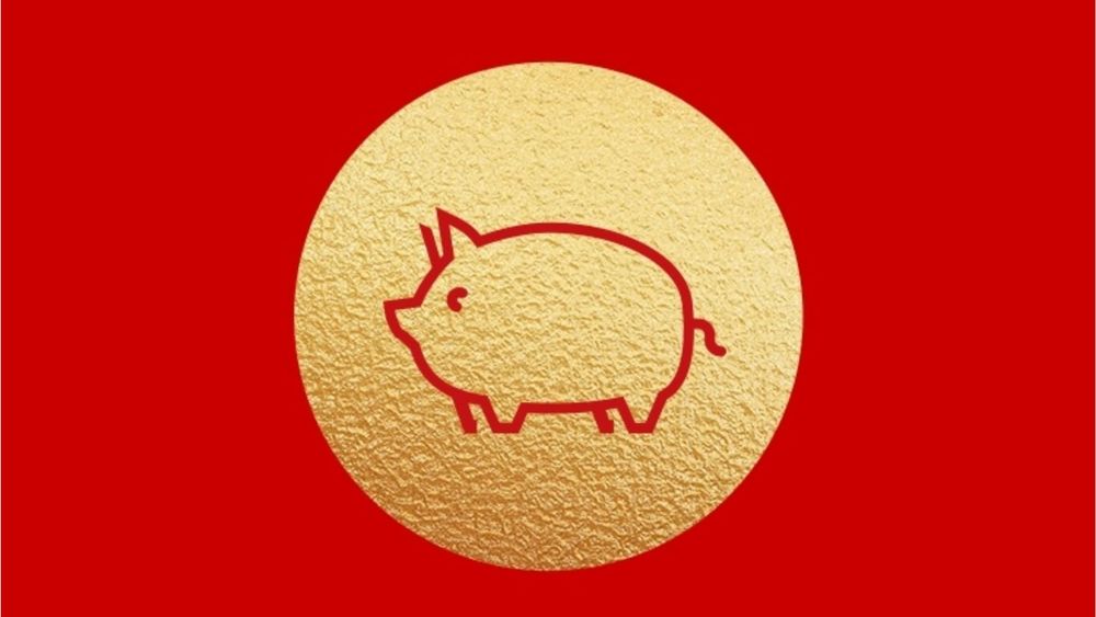 Trends we’re looking out for in the Year of the Pig